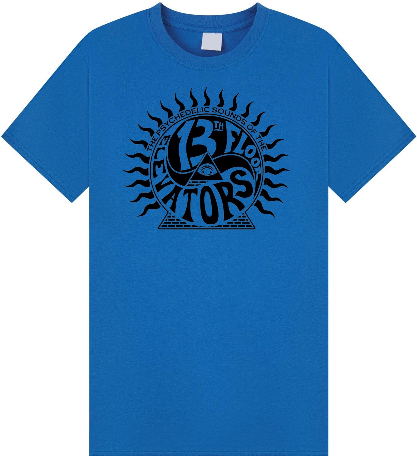 The Psychedelic Sounds of the 13th Floor Elevators
