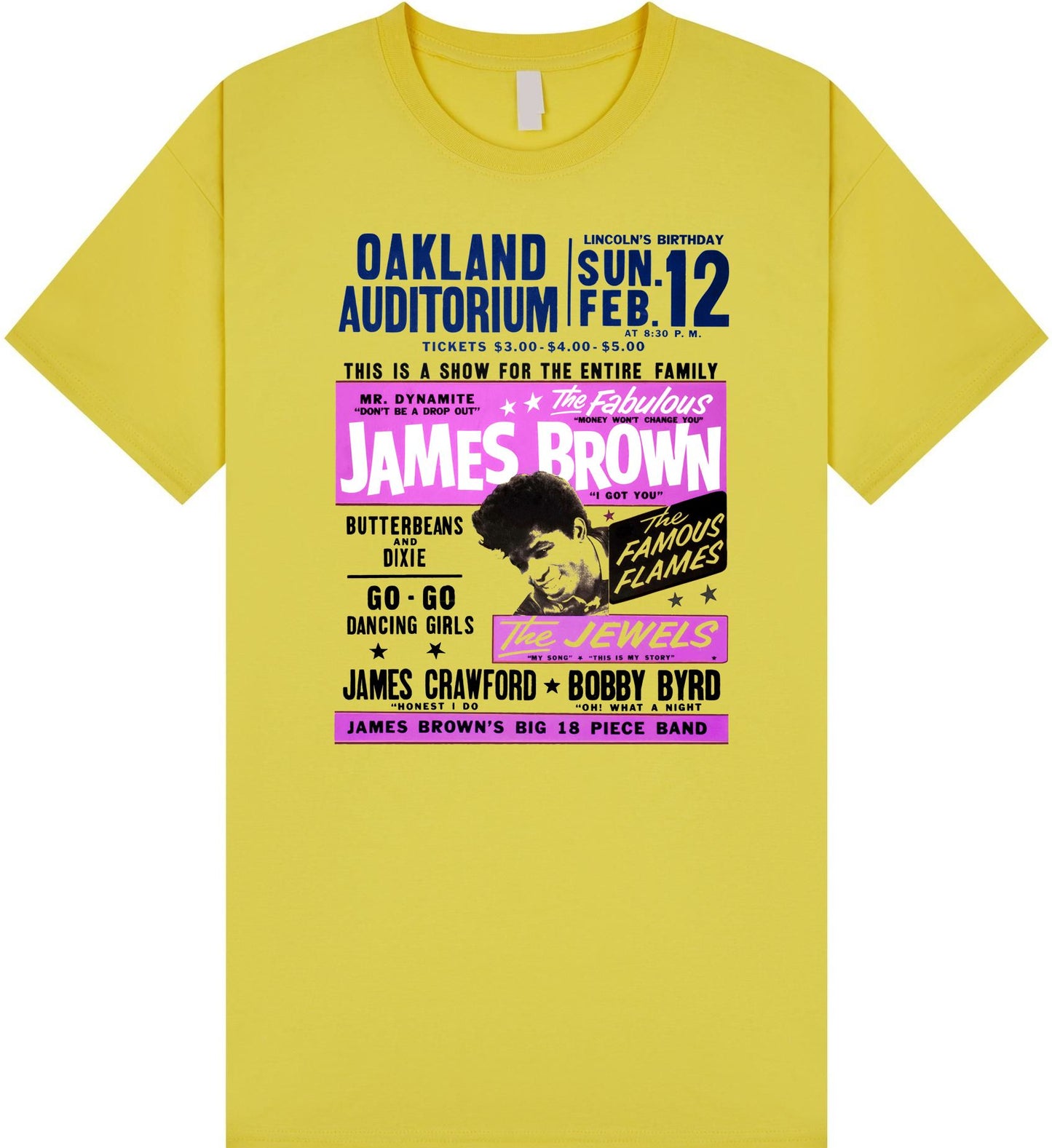 James Brown Poster T Shirt