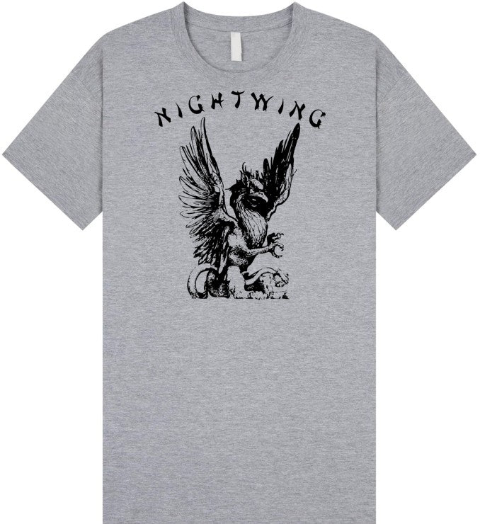 NightWing T Shirt