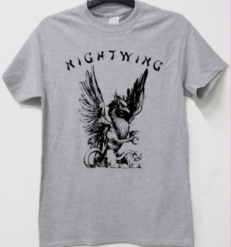 NightWing T Shirt